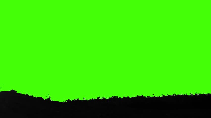 Silhouette of a man riding a bicycle on a green screen background. | Shutterstock HD Video #1111962349