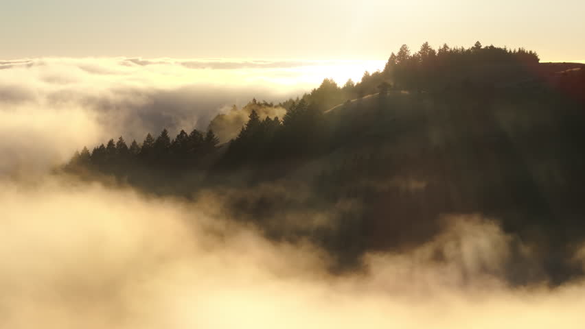 Picturesque mountains in the mystery morning fog, San Francisco Bay area, California, West coast, USA. Drone shot of green hills surrounding clouds. Sun rays lighting treetops at sunrise, 4k footage | Shutterstock HD Video #1111965741