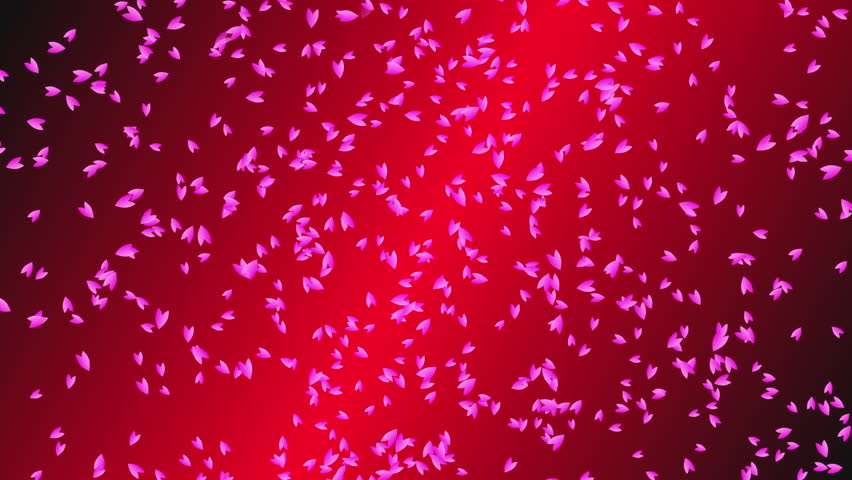 Pink cherry petals falling and drifting from top to bottom  on red gradient background. An abstract scene of Spring time in Japan. | Shutterstock HD Video #1111967421