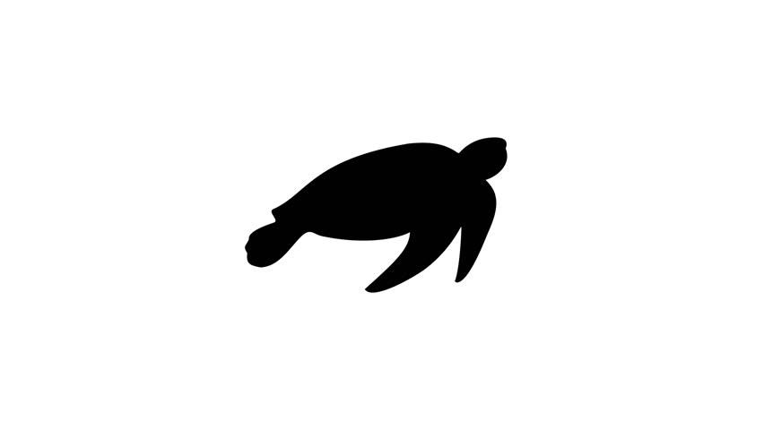 Animation set, sea turtle symbol. Animations: transparency, zooms, transition top to down, transition left to right, slide up to down, slide left to right | Shutterstock HD Video #1111976871