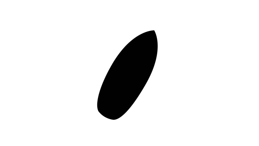 Animation set, surf board symbol. Animations: transparency, zooms, transition top to down, transition left to right, slide up to down, slide left to right | Shutterstock HD Video #1111976875