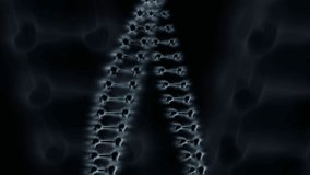 Alien X-Ray DNA Video Animation