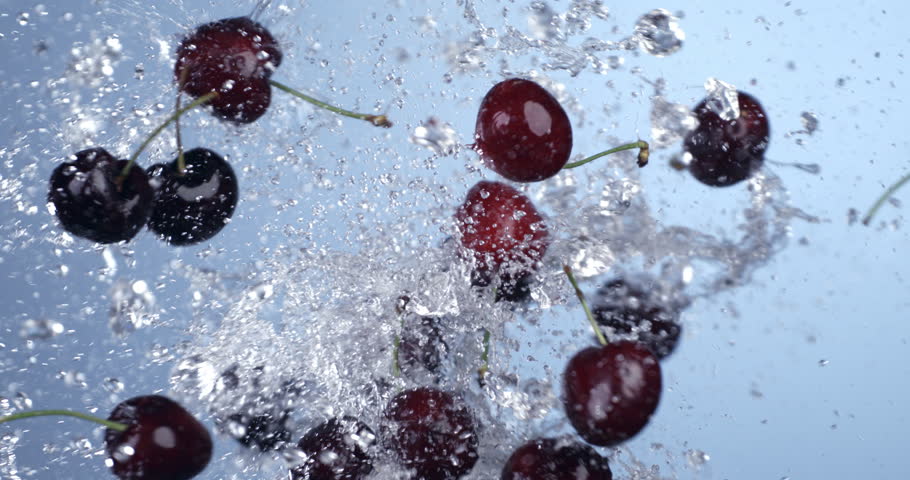 Super slow motion macro of fresh ripe bio organic red cherry fruits are flying with splashing water drops at 1000 fps isolated on soft light background.