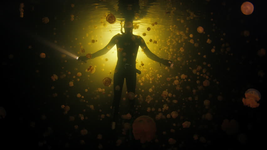 Freediver swims in the jellyfish lake at night. Night freediving in the lake full of stingless jellyfish in Raja Ampat, Misool, West Papua in Indonesia | Shutterstock HD Video #1111982119