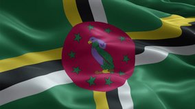 Dominica flag video waving in wind. Realistic flag background. Close up view, perfect loop, 4K footage