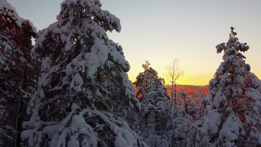 Sunset Casts a Warm Glow on Snow-Laden Trees, Creating a Serene and Magical Winter Wonderland Royalty-Free Stock Footage #1111986301