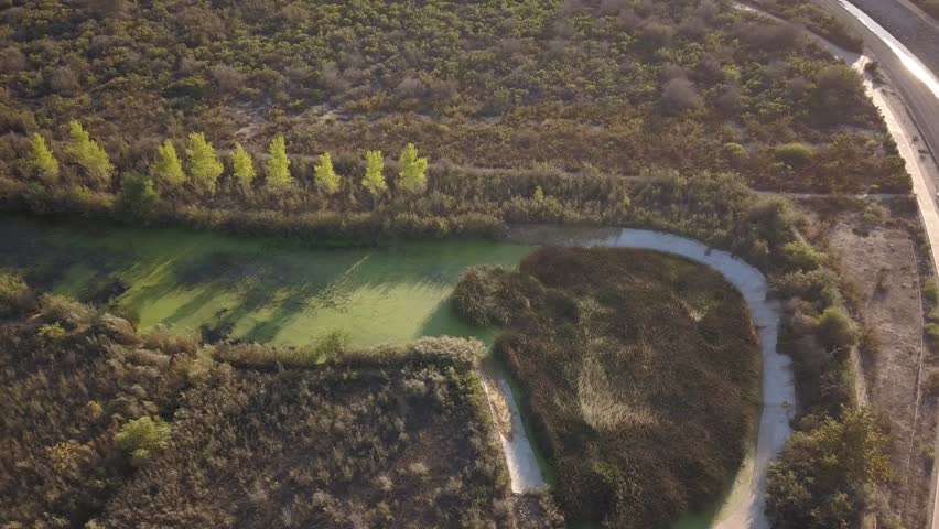 The view of the swamp with green vegetation. Costa Mesa, California, USA.