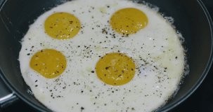 fried eggs cooked in a pan footage videos.