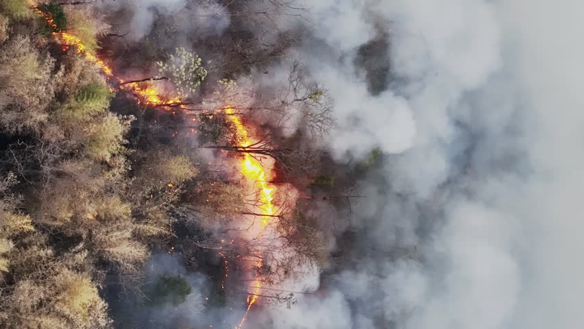Climate change, wildfires release carbon dioxide (CO2) emissions and other greenhouse gases (GHG) that contribute to climate change. Vertical Video. | Shutterstock HD Video #1111989983