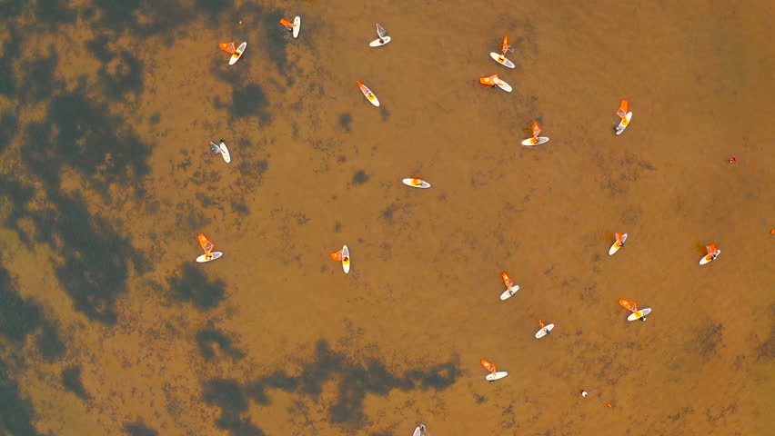 Aerial top view of group of people windsurfing on shallow water of the baltic sea | Shutterstock HD Video #1111993559