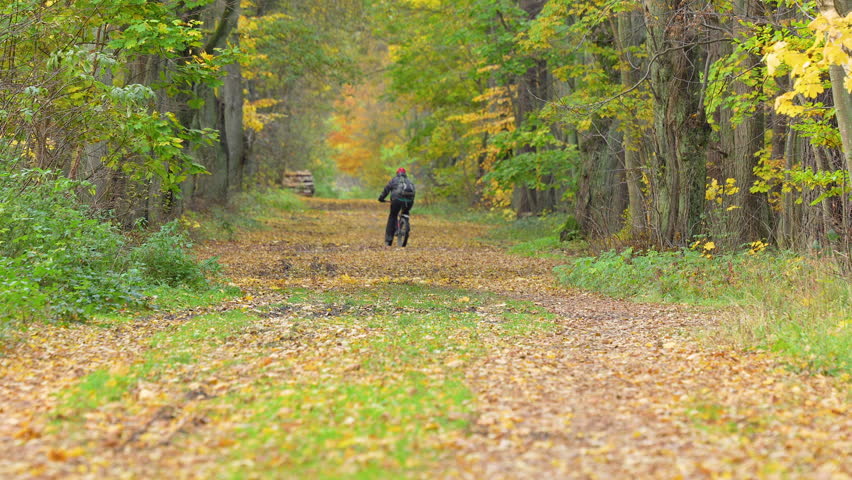 Cyclist rides down leaf-covered forest trail in fall. | Shutterstock HD Video #1112005807