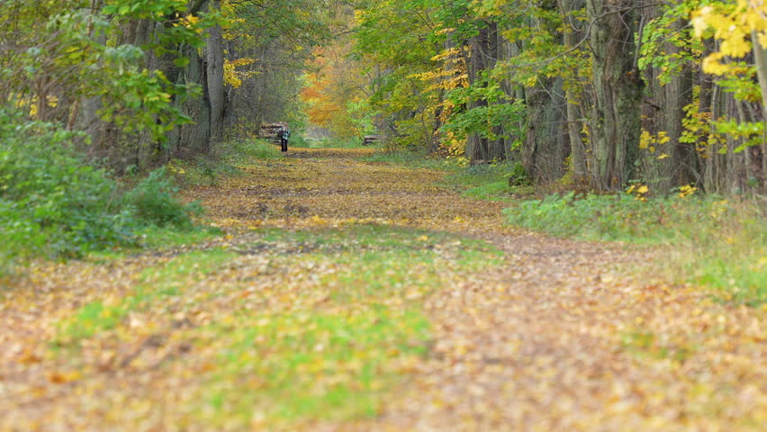 Cyclist rides along a leaf-covered path in autumn. | Shutterstock HD Video #1112005829