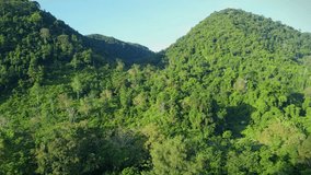 Aerial view of green forest in the hills of Aceh, Indonesia. Trees in tropical forest view with flying drone with landscape shot for 4k video