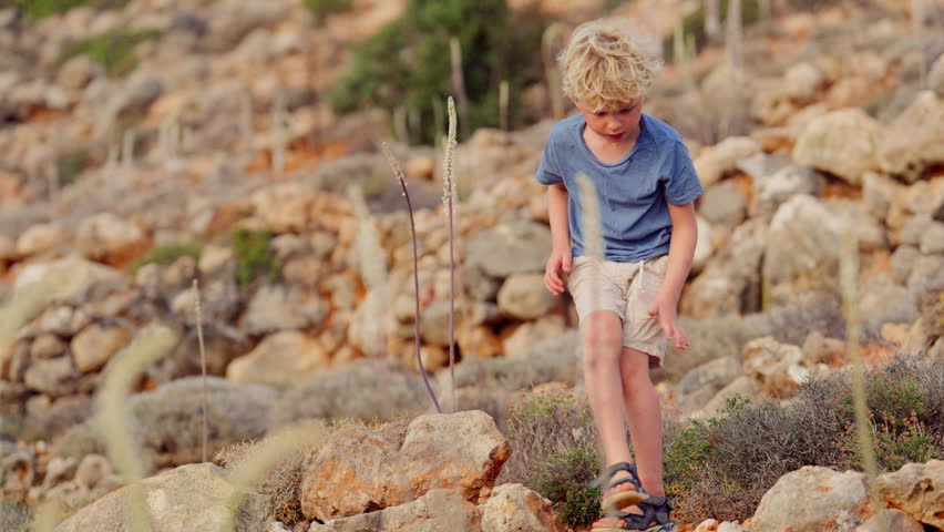 A young explorer eagerly collects rocks amidst a rugged and rocky field | Shutterstock HD Video #1112016697