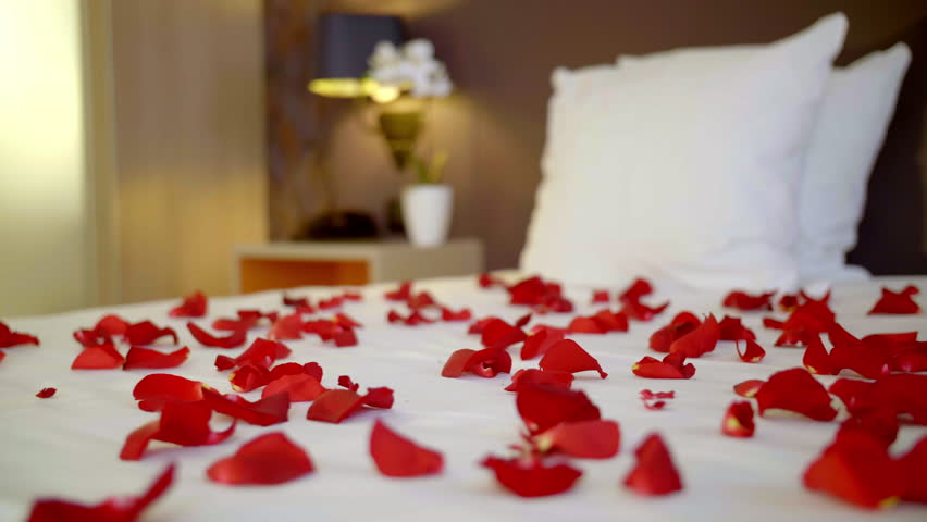 Close-up of rose petals on luxury bedding. Royalty-Free Stock Footage #1112023299