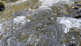 Water flowing in river High quality 4k video in 60 fps - Stream of water