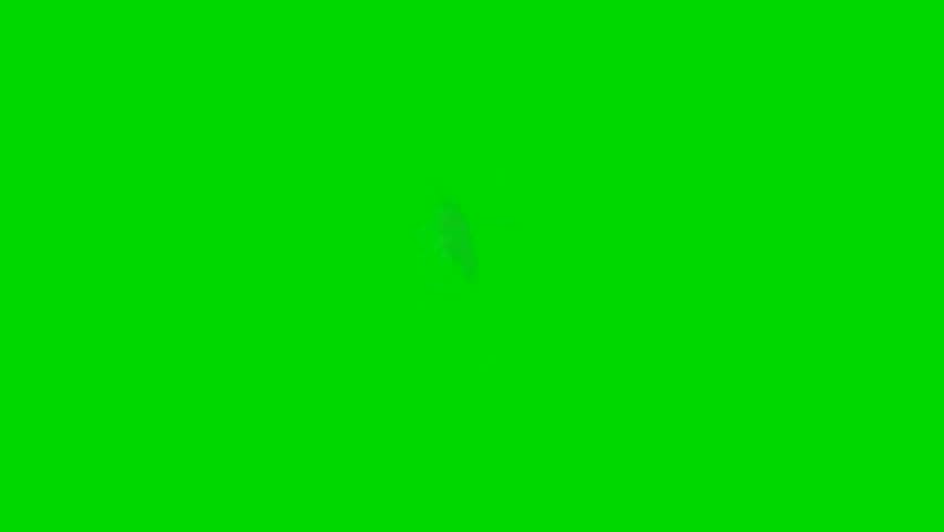 window Glass Crack green screen stock video footage. Royalty-Free Stock Footage #1112033085
