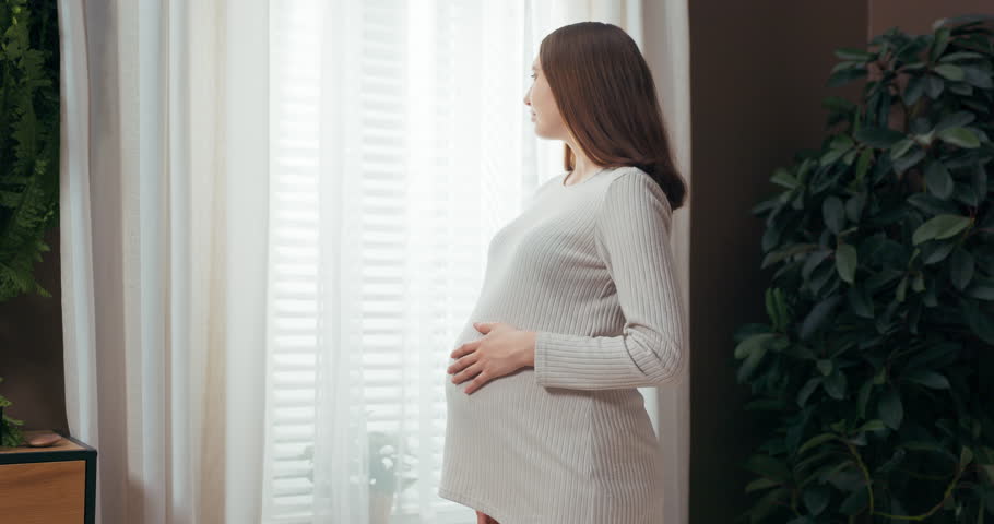 Contemplative pregnant woman stands by the window, deep in thought, as she gazes at the passing clouds, her hand resting on her growing belly, feeling the ebb and flow of life within her. | Shutterstock HD Video #1112036513