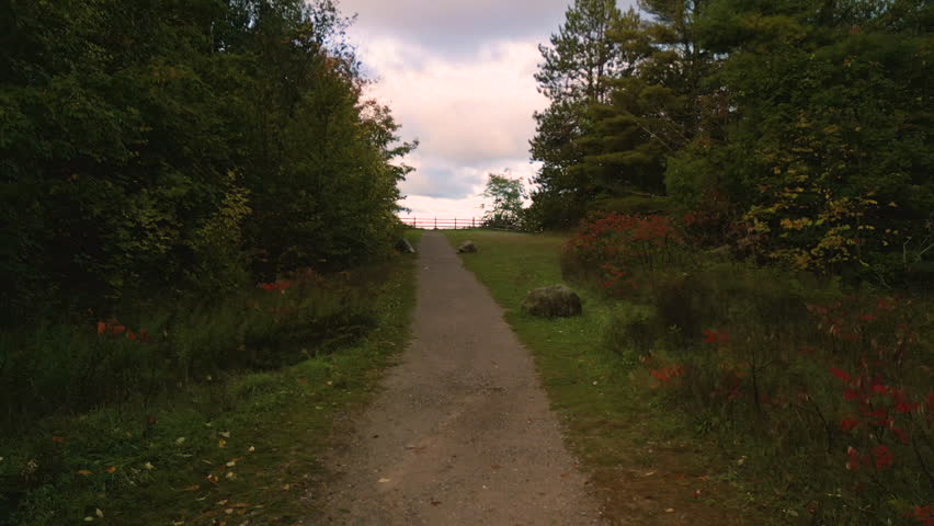 Fall beauty in Michigan. Drone photography showing peak fall colors.