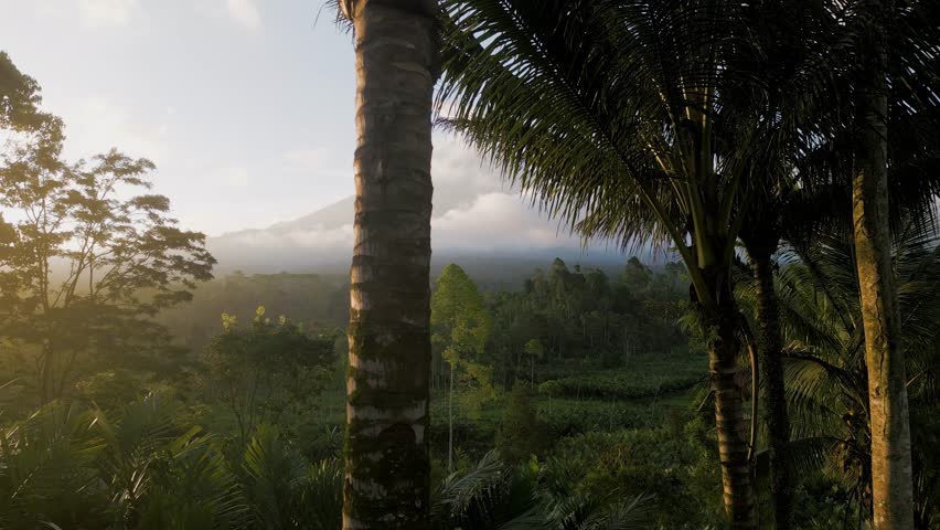 Beautiful sunset landscape against the backdrop of the active volcano Semeru and the tropical jungle. East Java, Indonesia. High quality 4k footage