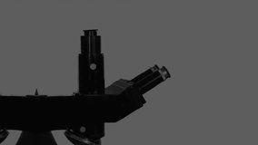 Animation of graphs and trading board, caucasian male researcher examining sample through microscope. Digital composite, multiple exposure, report, business, stock market and medical concept. - Powered by Shutterstock - Get 15% off with code: PIKWIZARD15