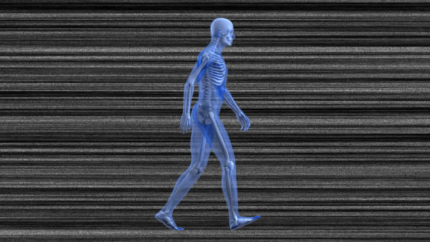 Animation of shapes and digital human skeleton walking over lines on black background. Technology, shapes and digital interface concept digitally generated video. - Powered by Shutterstock - Get 15% off with code: PIKWIZARD15
