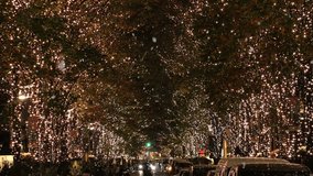 TOKYO, JAPAN - DECEMBER 2021 : View of Christmas tree illumination and snow at Marunouchi area. Scenery of downtown city and street at night. Japanese winter and Christmas season concept video.