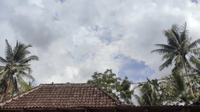 traditional house roof with tree and sky background - Powered by Shutterstock - Get 15% off with code: PIKWIZARD15