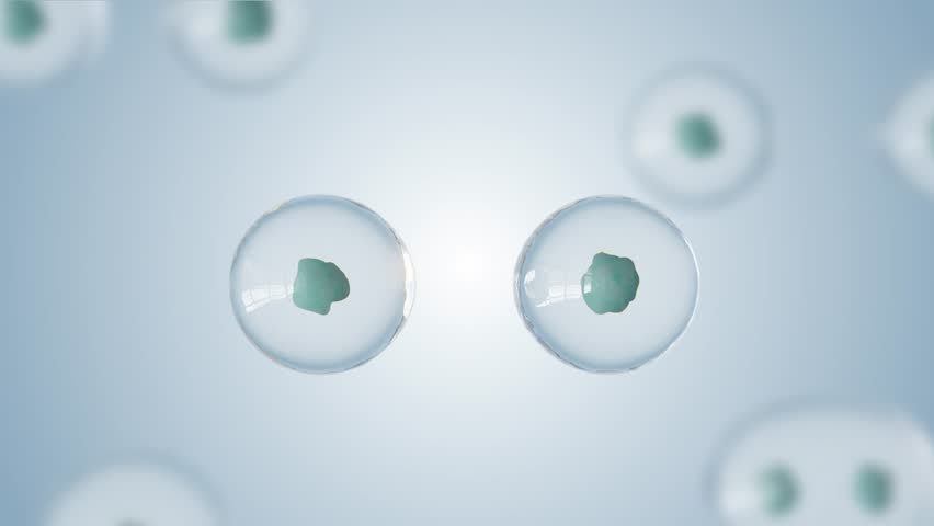 The term "Basic Red Cell Division Blue 4K" seems to have conflicting color descriptions ("Red" and "Blue").