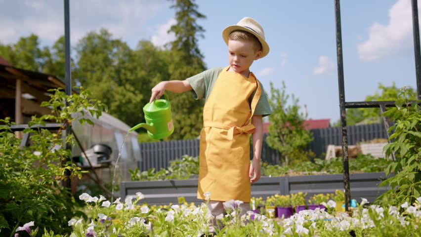 Boy gardener taking care watering flowers in garden smiling looking at camera. Royalty-Free Stock Footage #1112075221