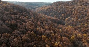 Aerial view of big forest landscapes, farmland, during autumn season. Orange mood shots, in the North on Moldova 