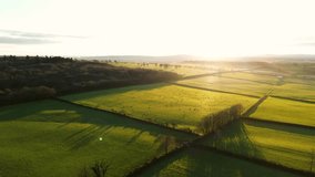 Drone footage of a green field with grazing sheep in England countryside - Powered by Shutterstock - Get 15% off with code: PIKWIZARD15