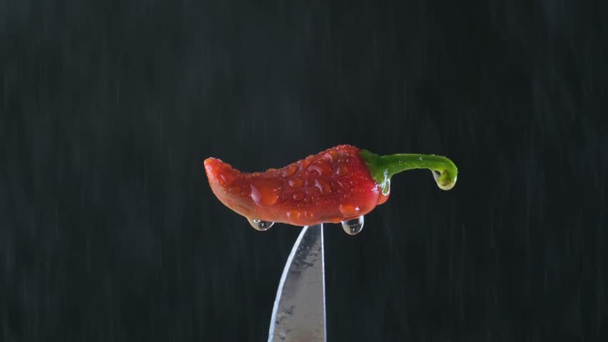 Water Spraying On Dripping Wet Red Jalapeno Chili Pepper On Knife Tip. closeup - Powered by Shutterstock - Get 15% off with code: PIKWIZARD15