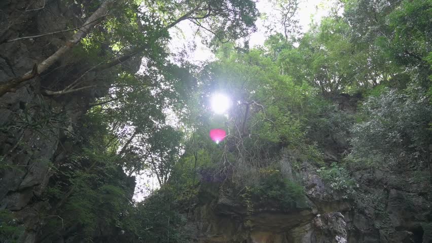 Solo woman adventurer is walking into the cave under steep cliff that covering by green plants during summer. Outdoor pursuit. Hobbies and Leisure. Tiling down and follow shot.