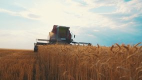 Wheat harvest. Wheat harvesting shears. Harvester machine harvesting golden ripe wheat field on an agricultural field at sunset in summer from close up. Agriculture food production. Industry concept. - Powered by Shutterstock - Get 15% off with code: PIKWIZARD15