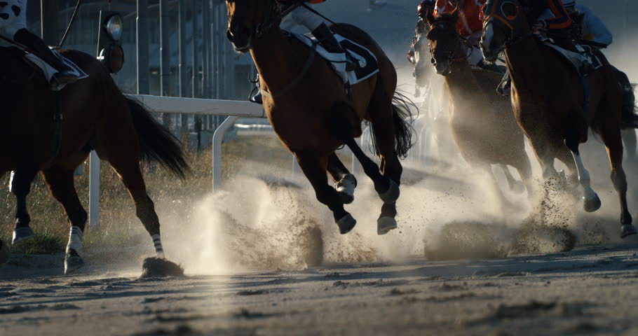 Super slow motion close up of horse racing tournament with jockeys sprinting running thoroughbred stallions to lead on finish with dust explosion in sunshine. Royalty-Free Stock Footage #1112087325