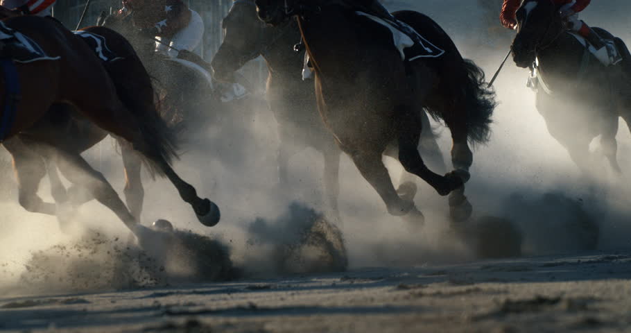 Super slow motion close up of horse racing tournament with jockeys sprinting running thoroughbred stallions to lead on finish with dust explosion in sunshine. Royalty-Free Stock Footage #1112087325