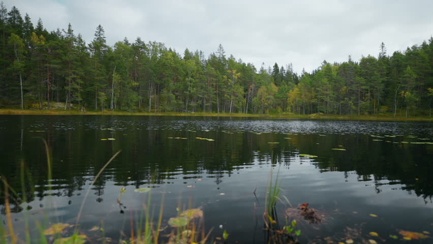 Beautiful Lake In Forest In Autumn Season, Nobody In Woodland, Admiring Landscape