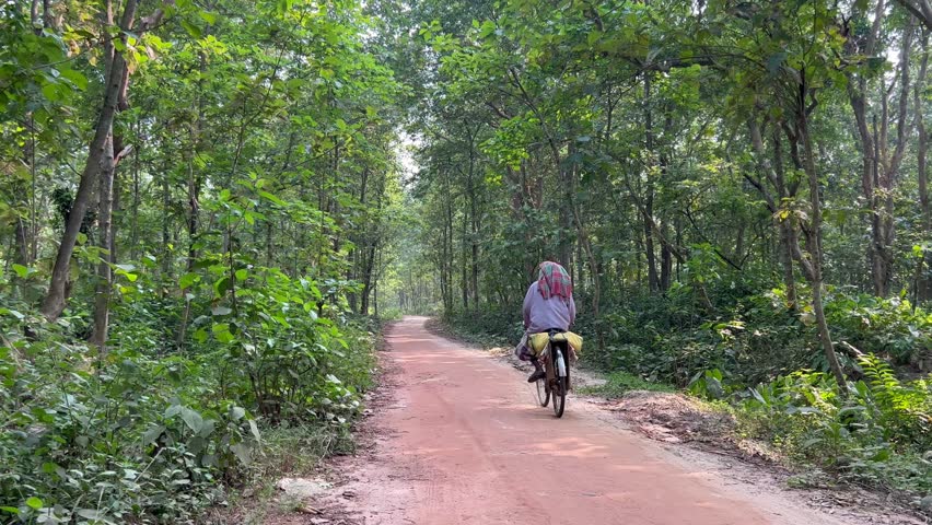Domkal Forest, 4k HDR West Bengal, India