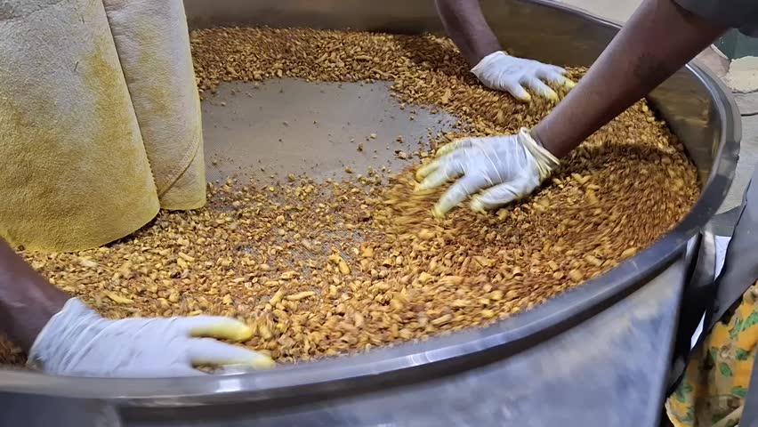Operation is selecting contaminated foreign material while conveying dry turmeric ingredients before processing  | Shutterstock HD Video #1112099449
