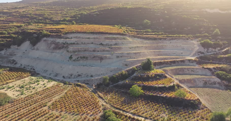 Aerial view of vineyards growing on mountain slopes. Beautiful landscape of agricultural fields with grape bushes. High quality 4k footage | Shutterstock HD Video #1112105065