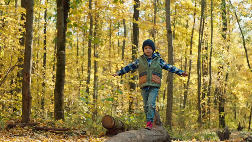 A child boy walks along a tree log in an autumn forest. Love of nature autumn yellow leaves in beautiful nature landscape. High quality 4k footage Royalty-Free Stock Footage #1112105089