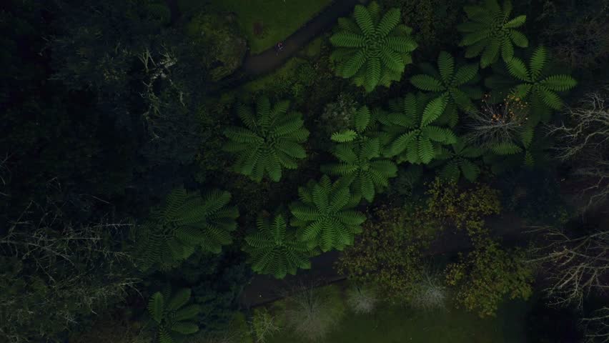 Terra Nostra Park in Furnas, Azores