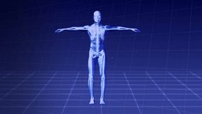 Animation of human body and scientific data processing over connections. Global science, connections, computing and data processing concept digitally generated video