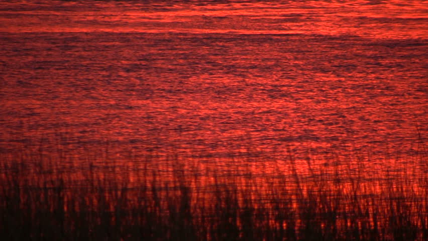 Water at Sunrise.