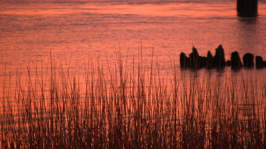 Water at Sunrise.