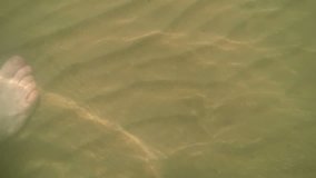 Sandy bottom with waves in the shallows of Lake Baikal. Underwater video.