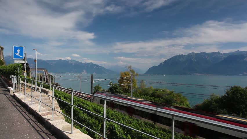 Lavaux, Switzerland - July 12, 2015: Vineyards near the railway station of the Lavaux region over lake Leman (lake of Geneva),Switzerland
