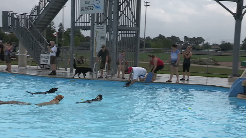 Indoor Swimming Pool Establishing Shot Half Stock Footage Video 100 Royalty Free 1016 Shutterstock