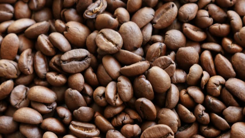 High Quality Arabica Coffee Beans 